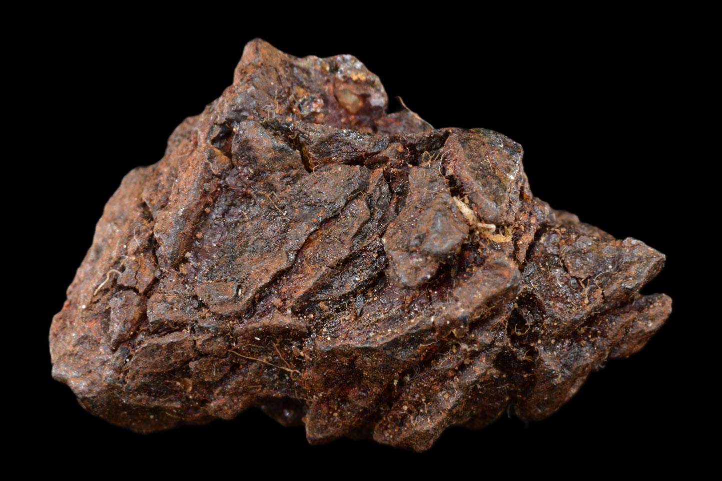 NWA 15971 Pallasite PMG 4.57 G