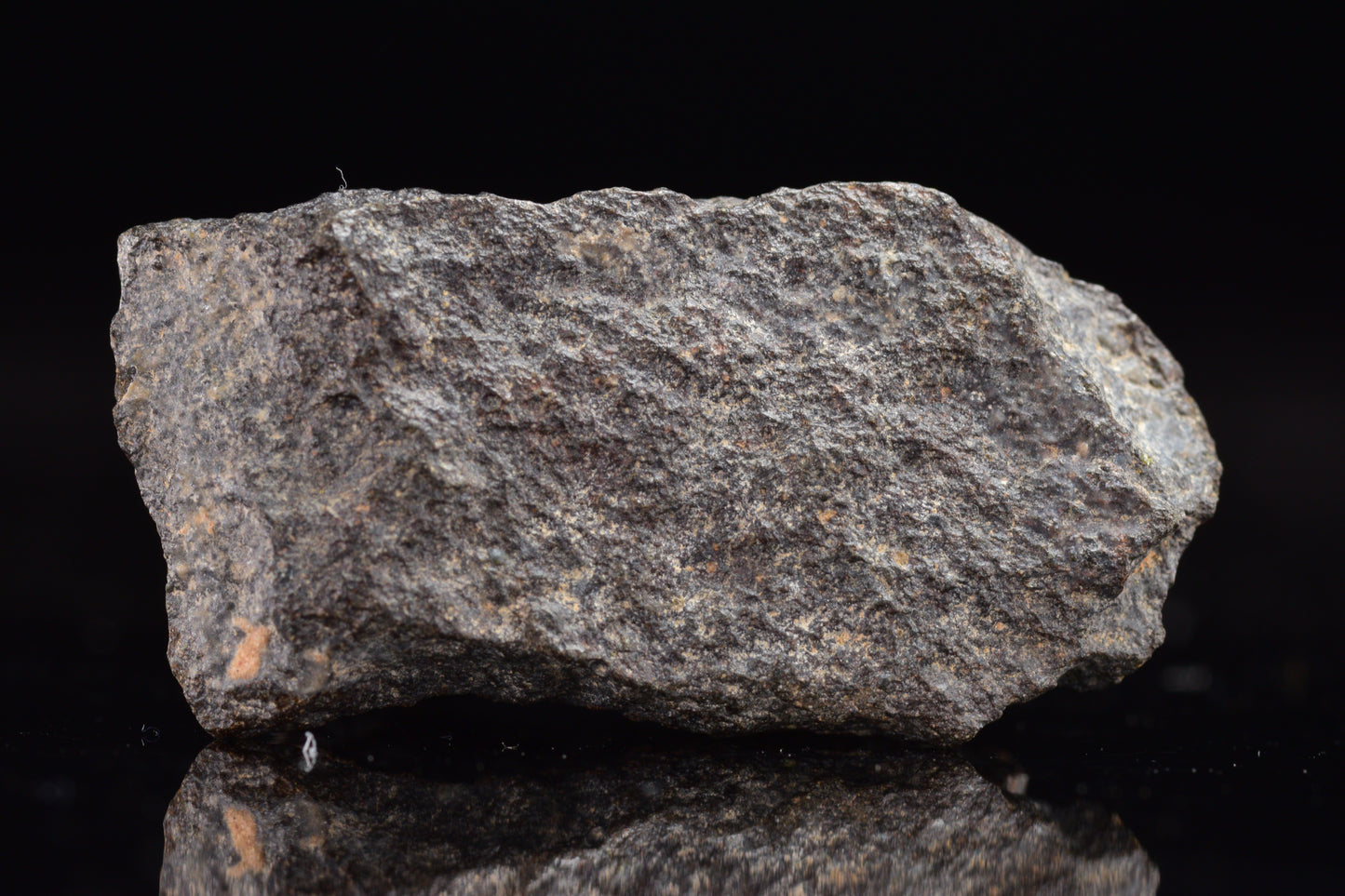 NWA 17489 (CO3.0) Carbonaceous Chondrite Meteorite
