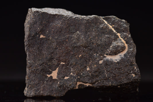 NWA 17489 (CO3.0) Carbonaceous Chondrite Meteorite 