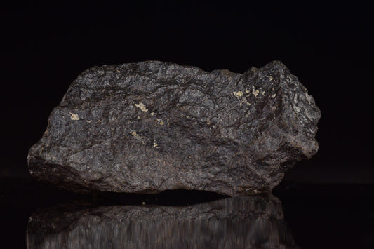 NWA 17489 (CO3.0) Carbonaceous Chondrite Meteorite 