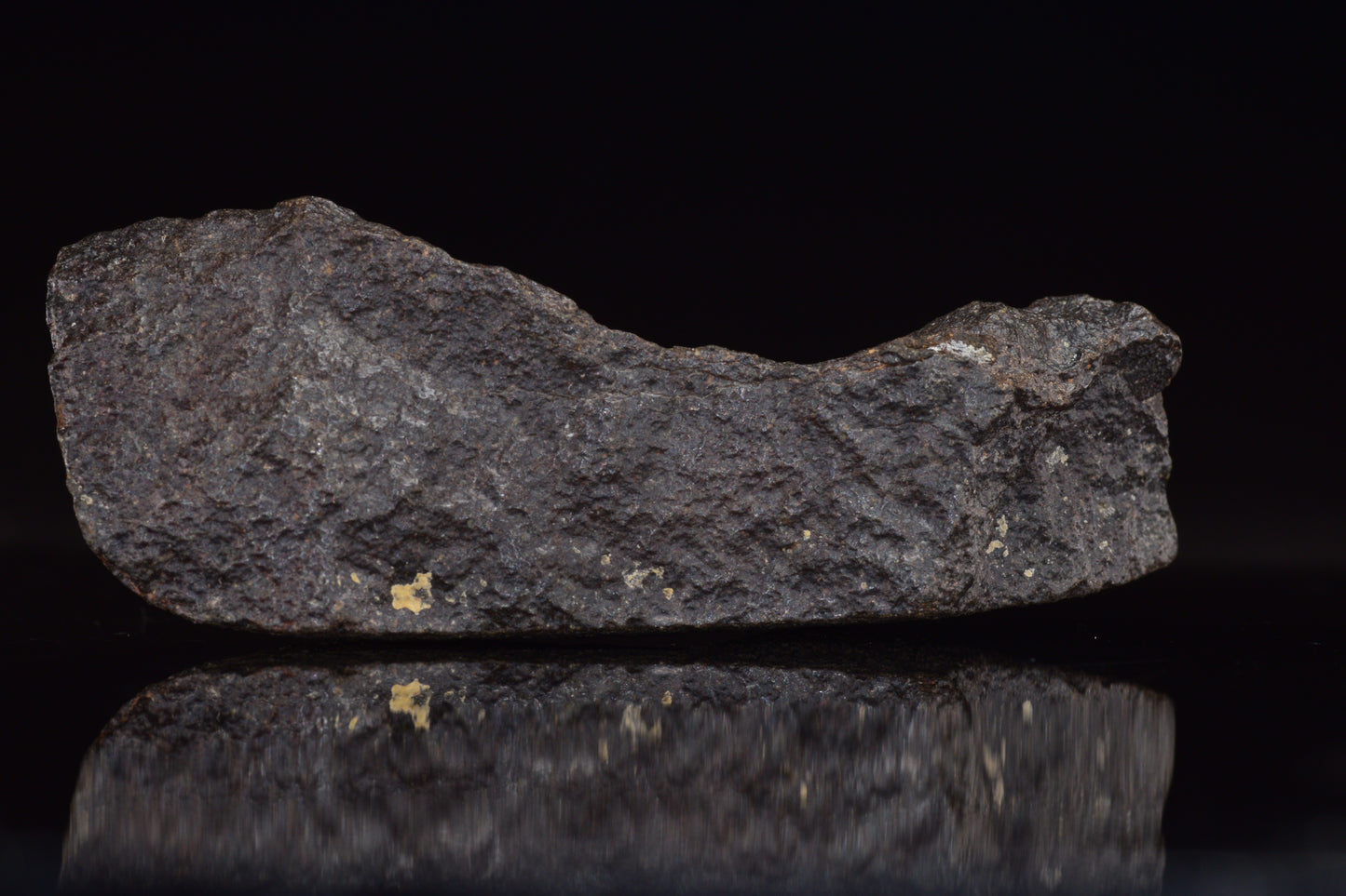 NWA 17489 (CO3.0) Carbonaceous Chondrite Meteorite 