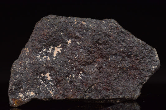 NWA 17489 (CO3.0) Carbonaceous Chondrite Meteorite 