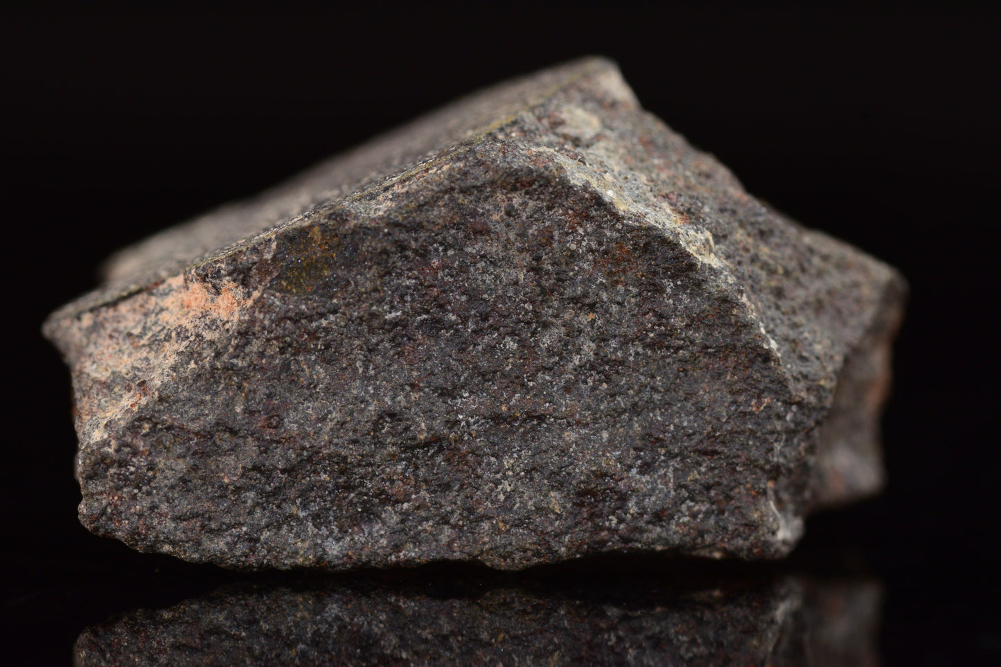 NWA 17489 (CO3.0) Carbonaceous Chondrite Meteorite 