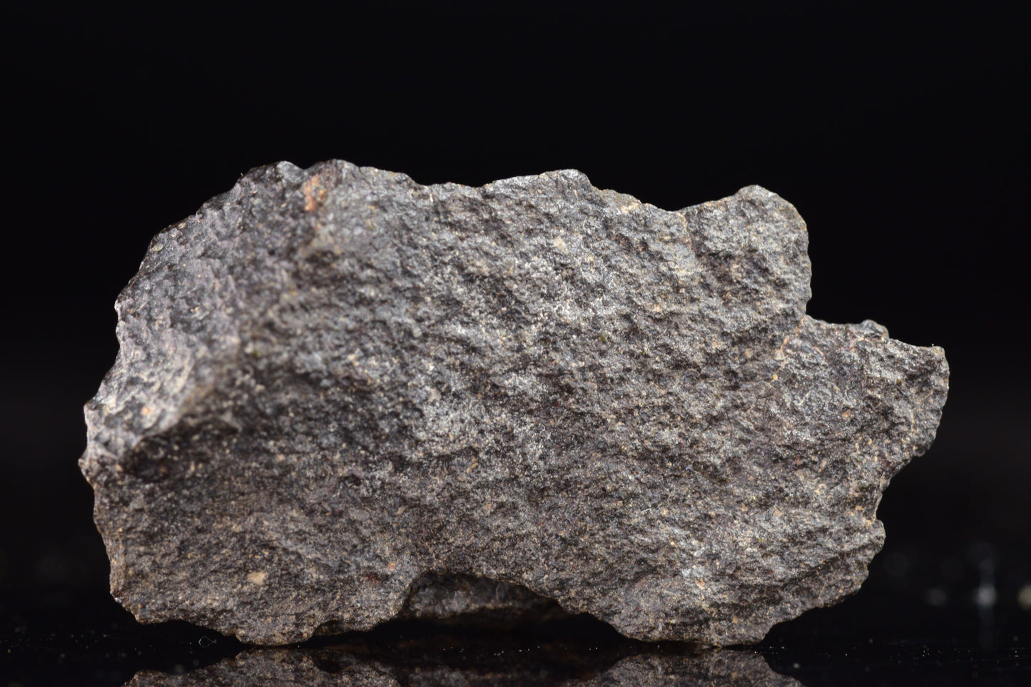 NWA 17489 (CO3.0) Carbonaceous Chondrite Meteorite 