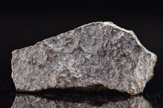 NWA 17489 (CO3.0) Carbonaceous Chondrite Meteorite 