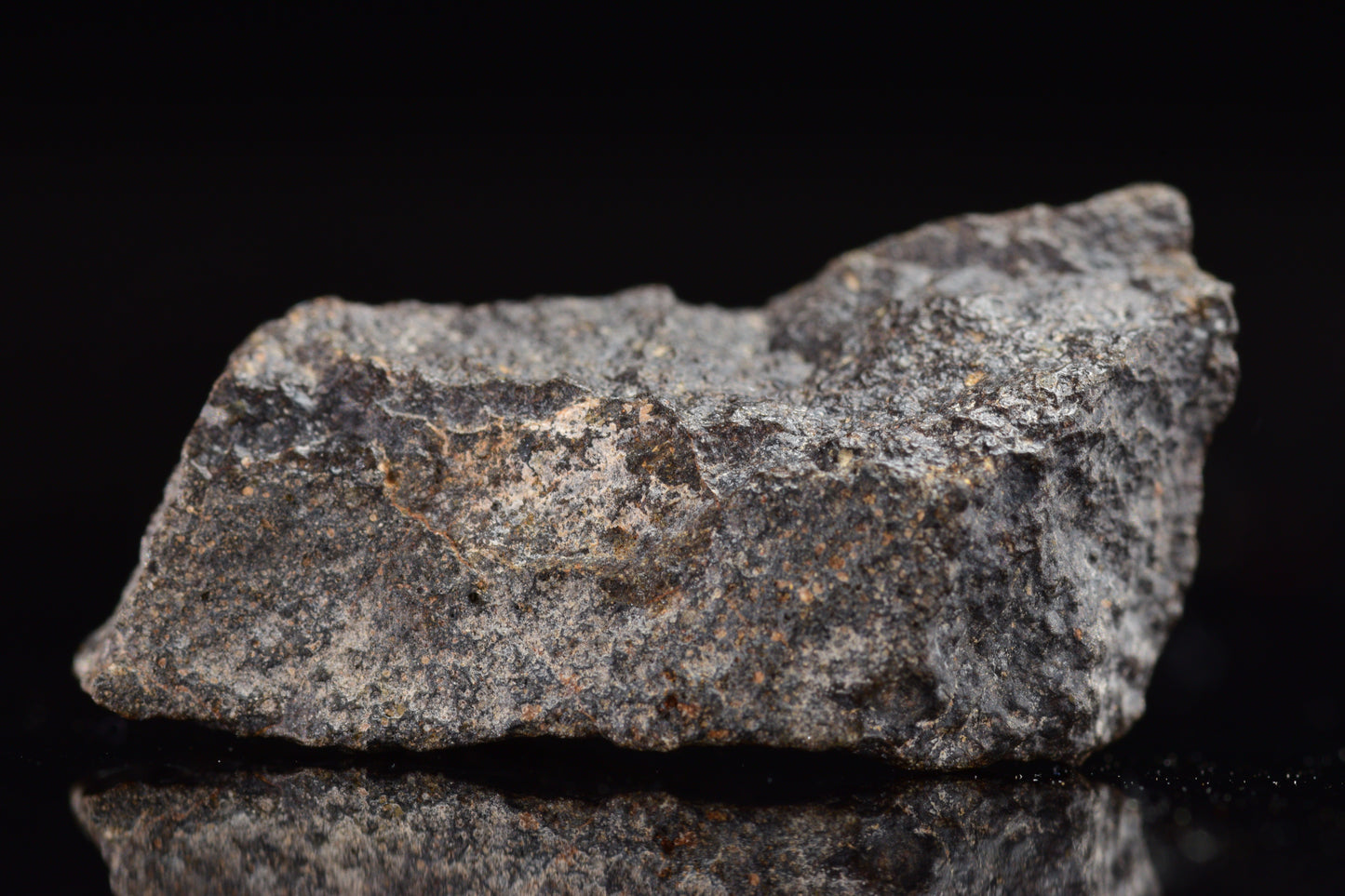 NWA 17489 (CO3.0) Carbonaceous Chondrite Meteorite 