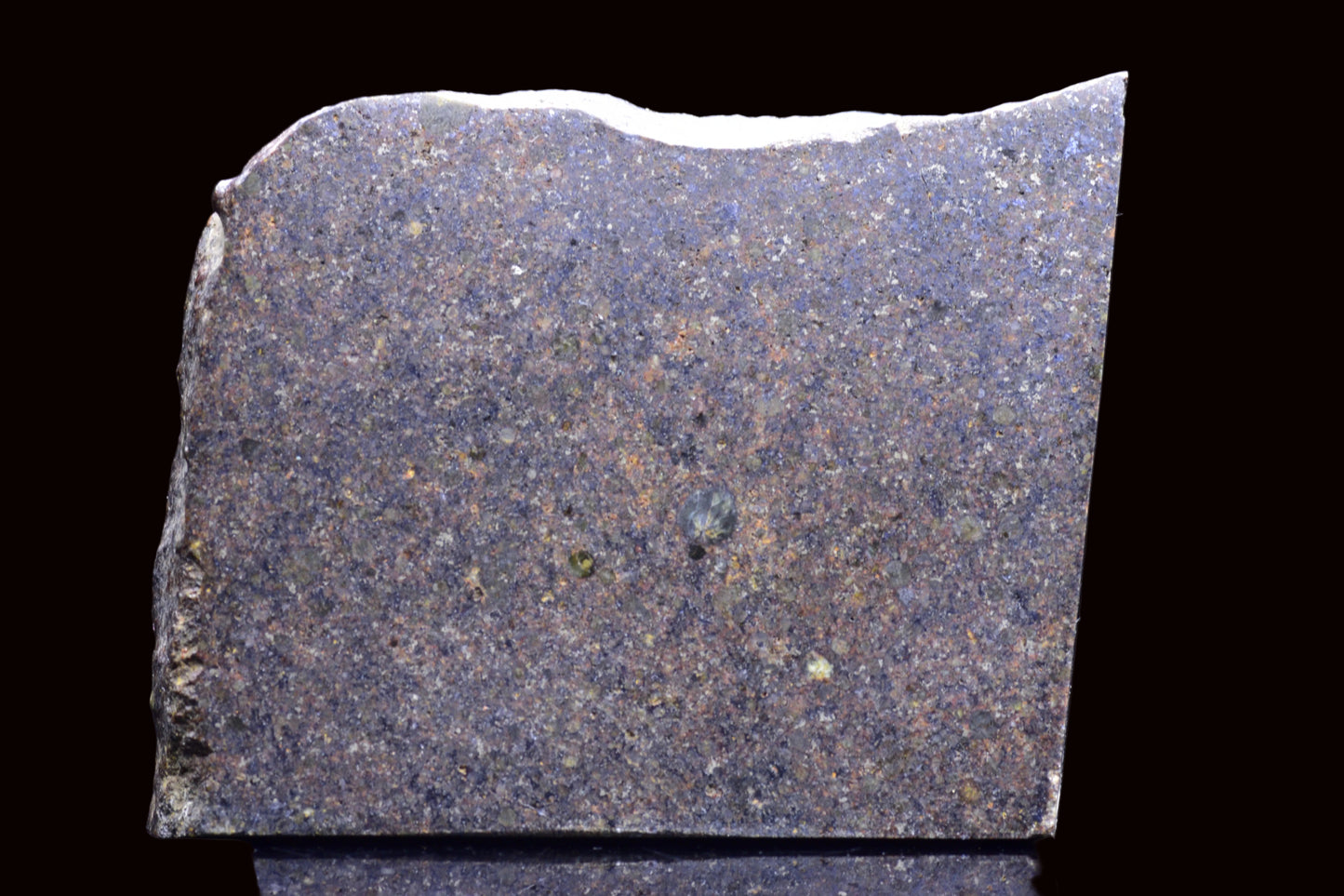 NWA 17492 H5 Ordinary Chondrite Meteorite