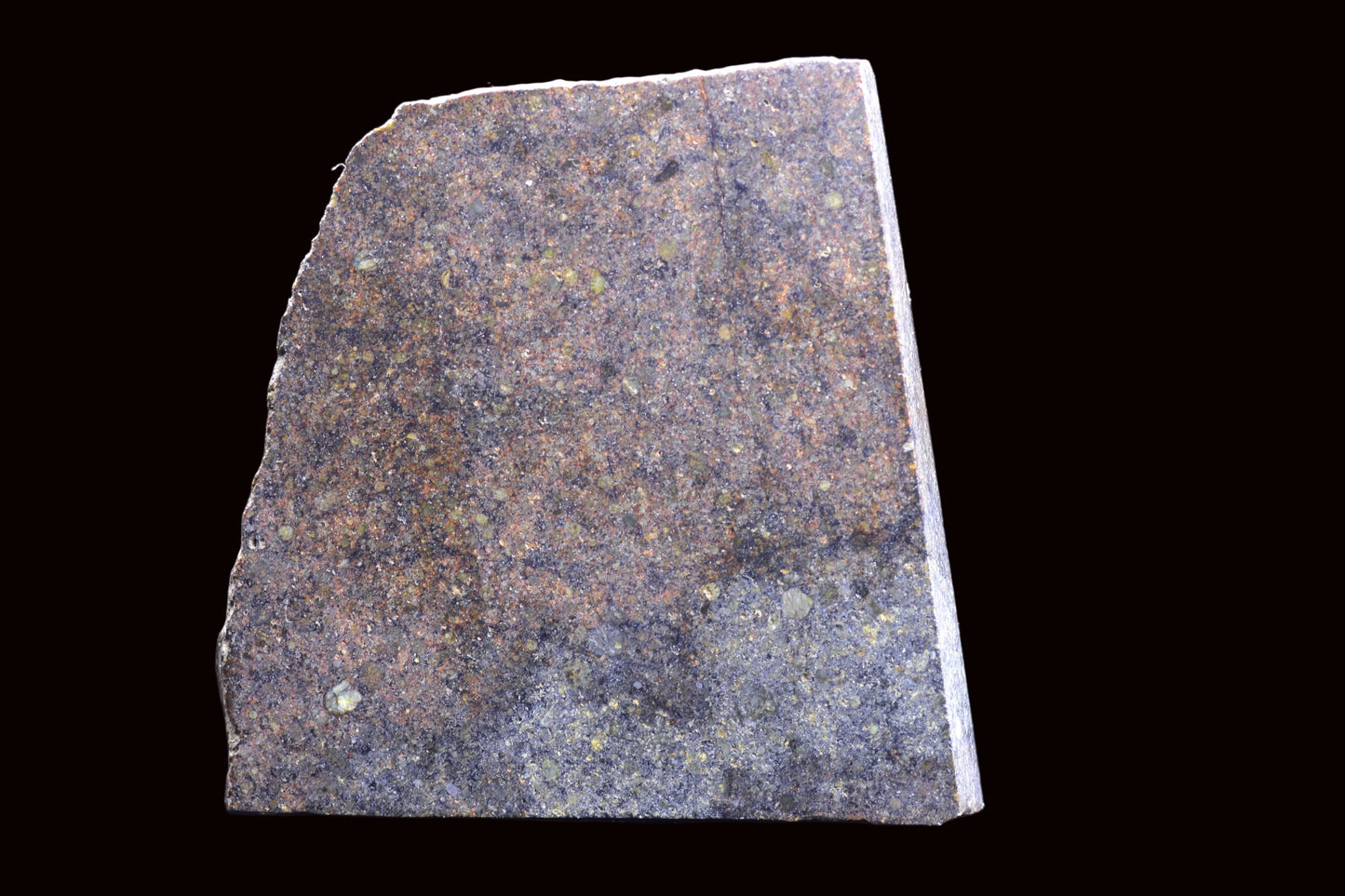 NWA 17492 H5 Ordinary Chondrite Meteorite