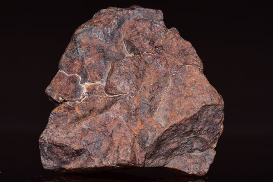 Unclassified Chondrite Meteorite Complete fragment