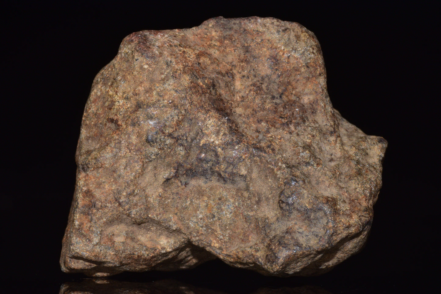 Unclassified Chondrite Meteorite Complete fragment