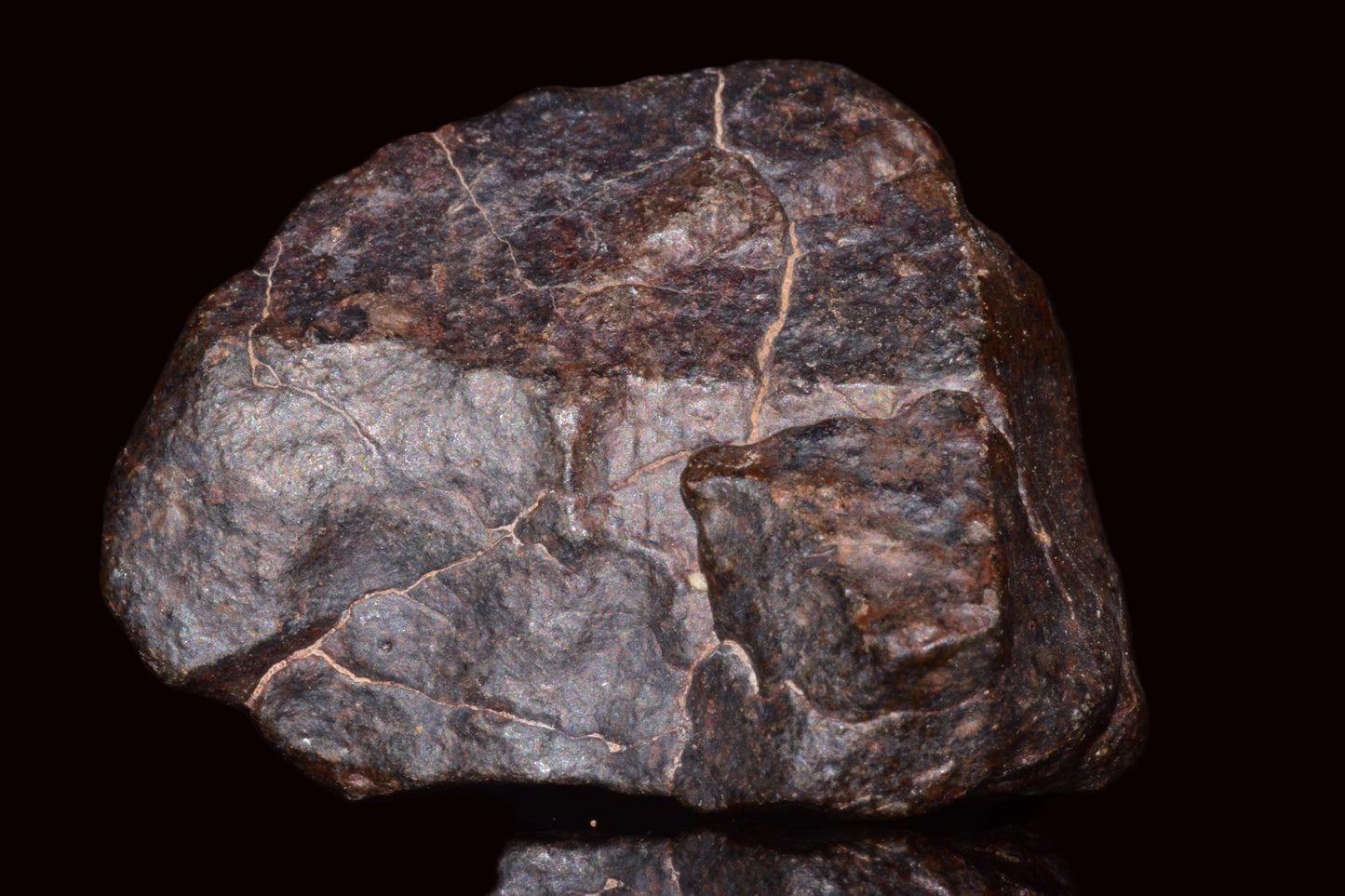 Unclassified Chondrite Meteorite Complete fragment
