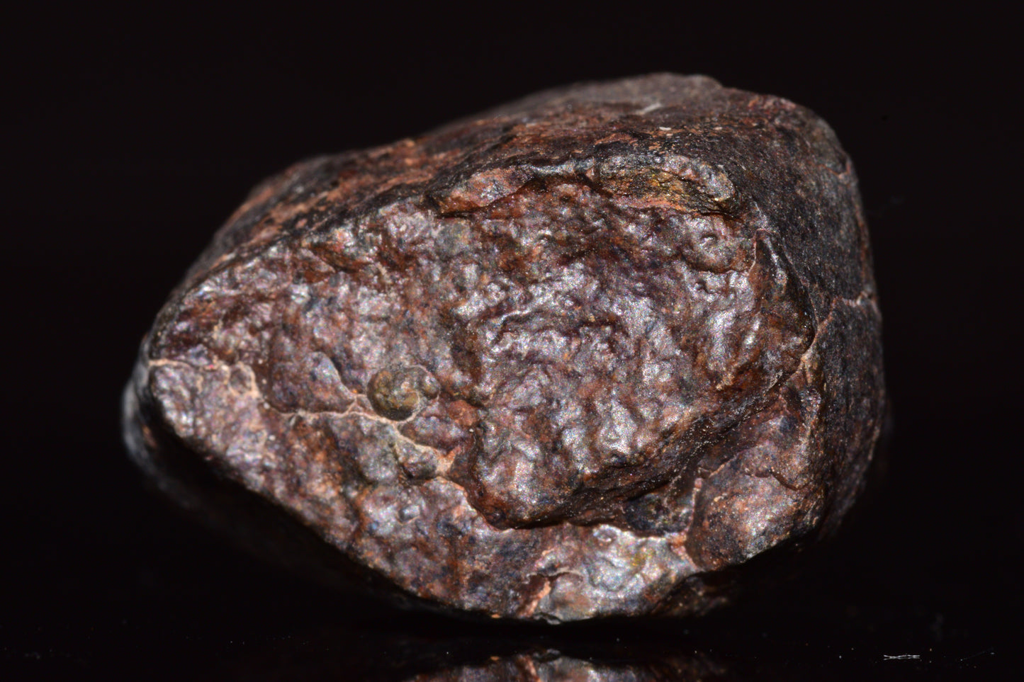 Unclassified Chondrite Meteorite Complete fragment