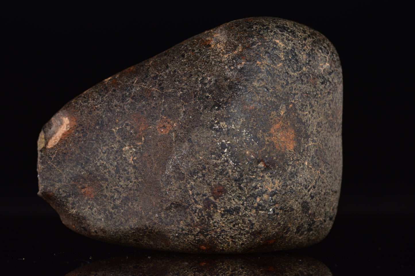 Unclassified Chondrite Meteorite Complete fragment