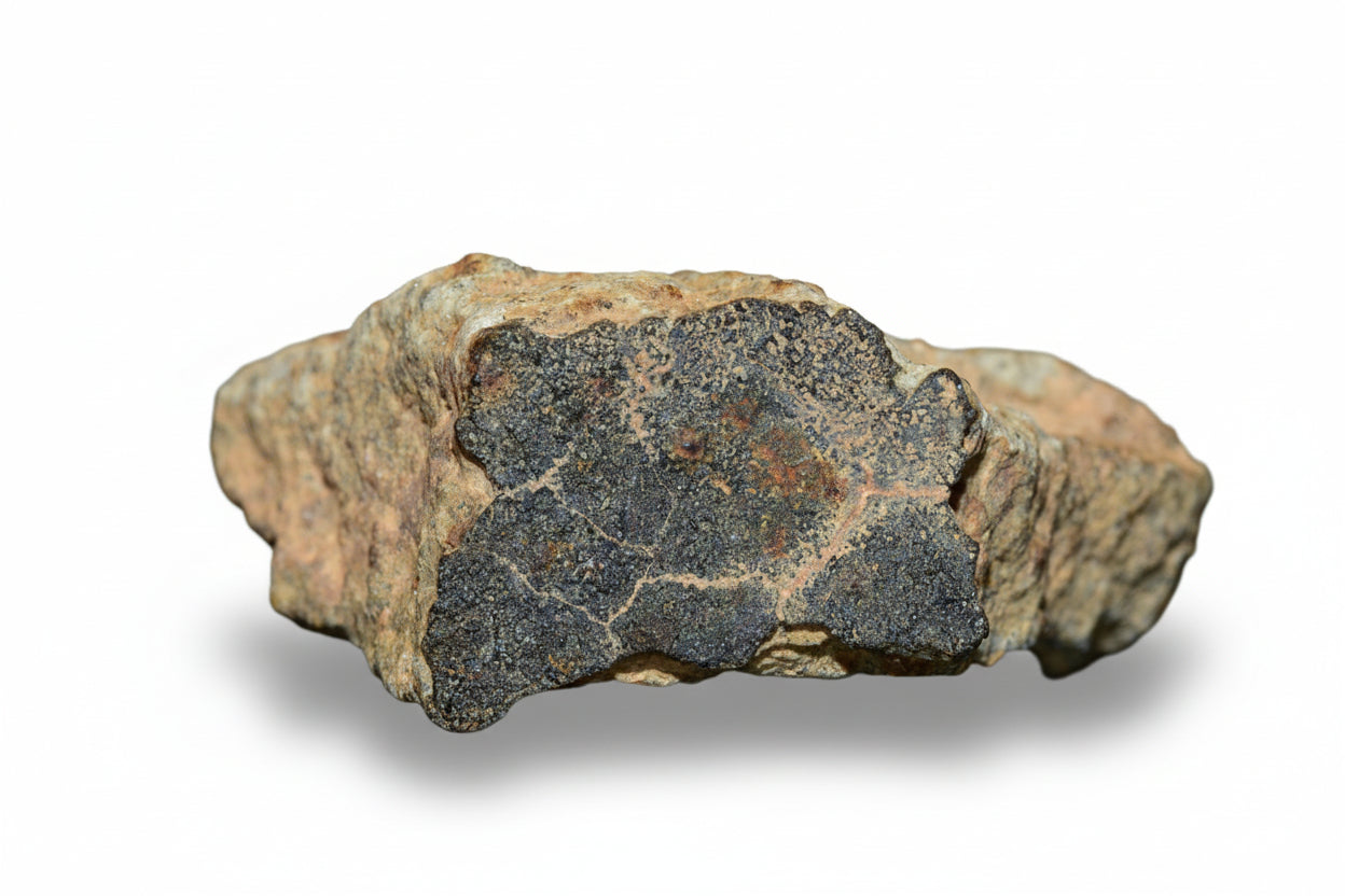 Natural stone meteorite fragment discovered in Northwest Africa