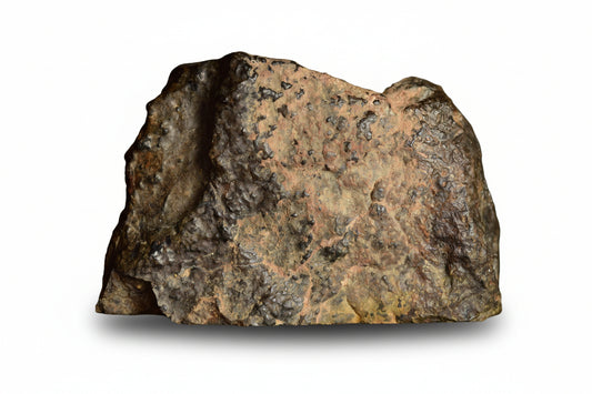 Large NWA 13272 ungrouped achondrite meteorite endcut showing dark, textured surface and natural mineral features, 51.6 g specimen.