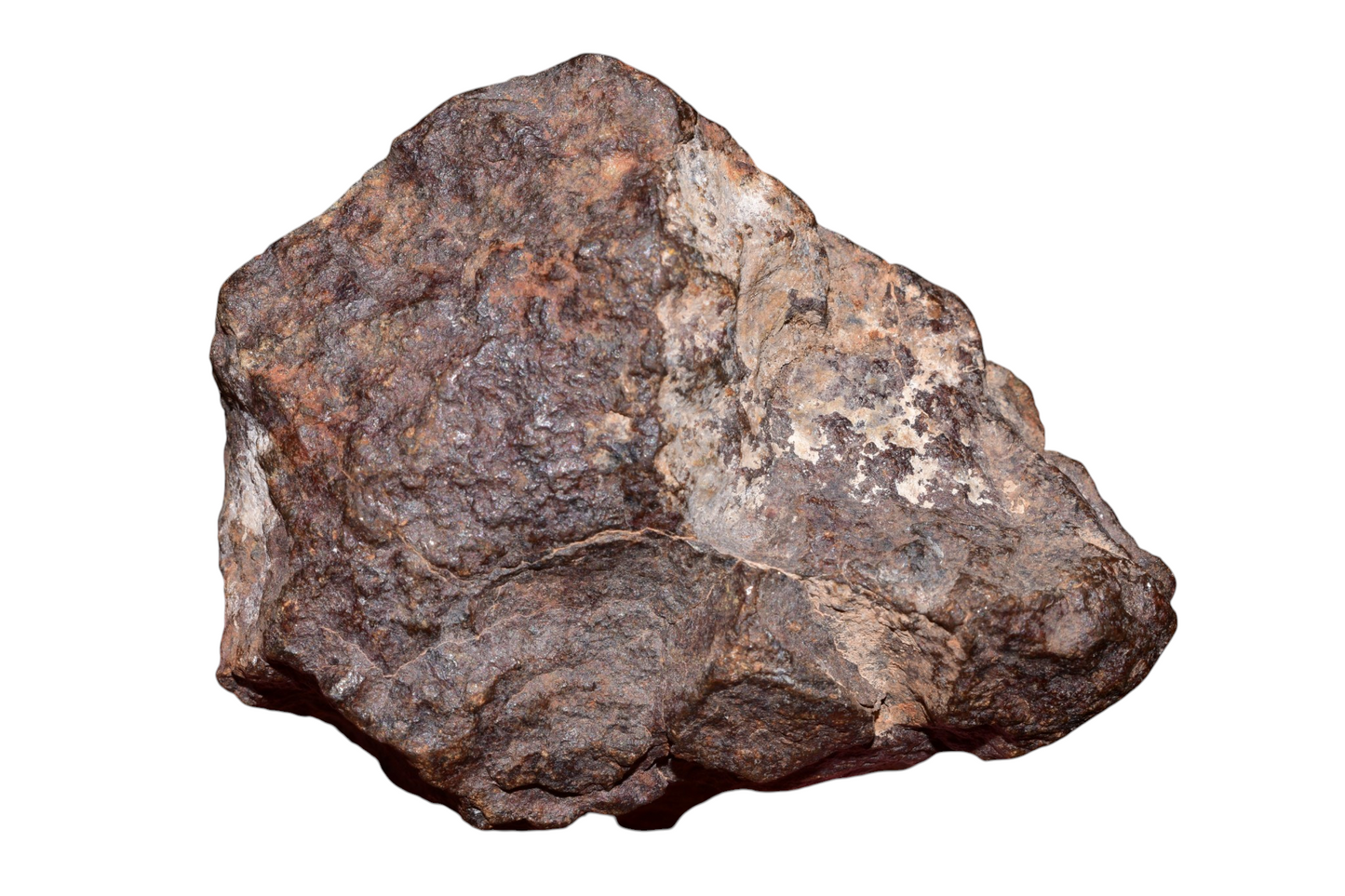 Moroccan chondrite meteorite 125g full fragment additional angle collector grade specimen