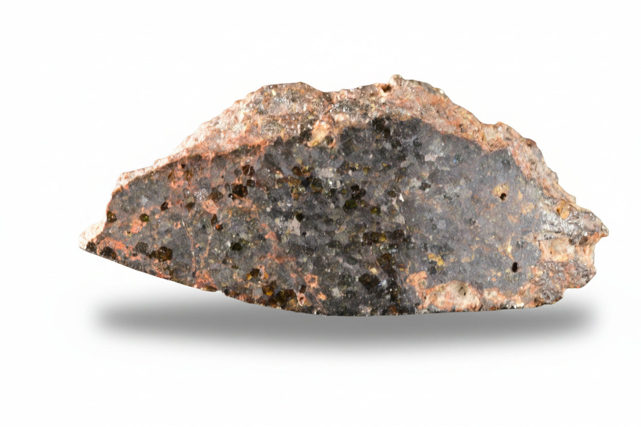 Close-up of a Brachinite NWA 11756 meteorite slice showing its textured, metallic surface and mineral details.