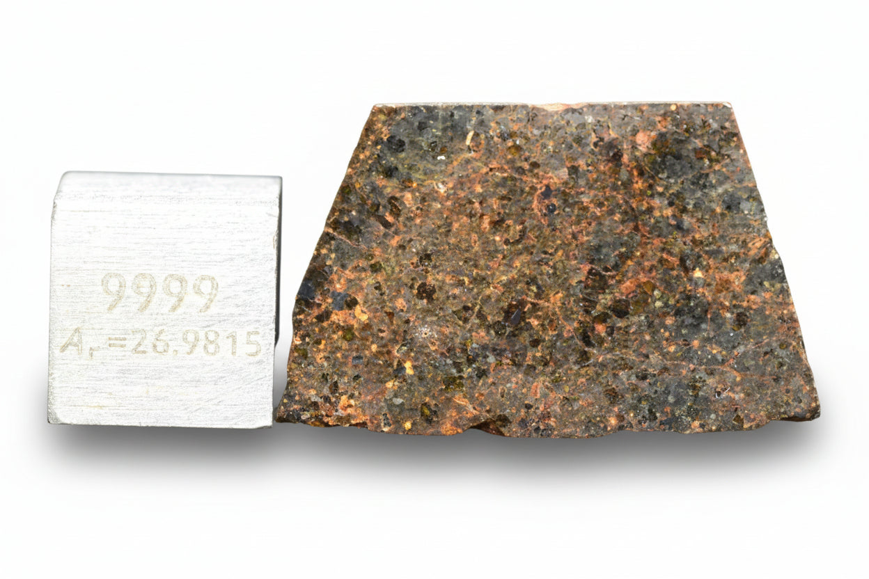 Slice of Brachinite NWA 11756 meteorite showing metallic and mineral textures, weighing 3.31 grams.
