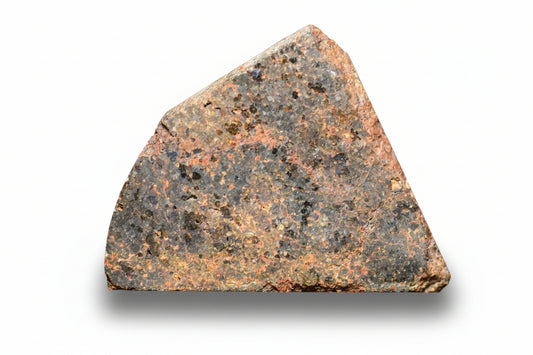 Brachinite NWA 11756 meteorite slice from Buy Meteorite, LLC, showing metallic and gray mineral textures on a white background.