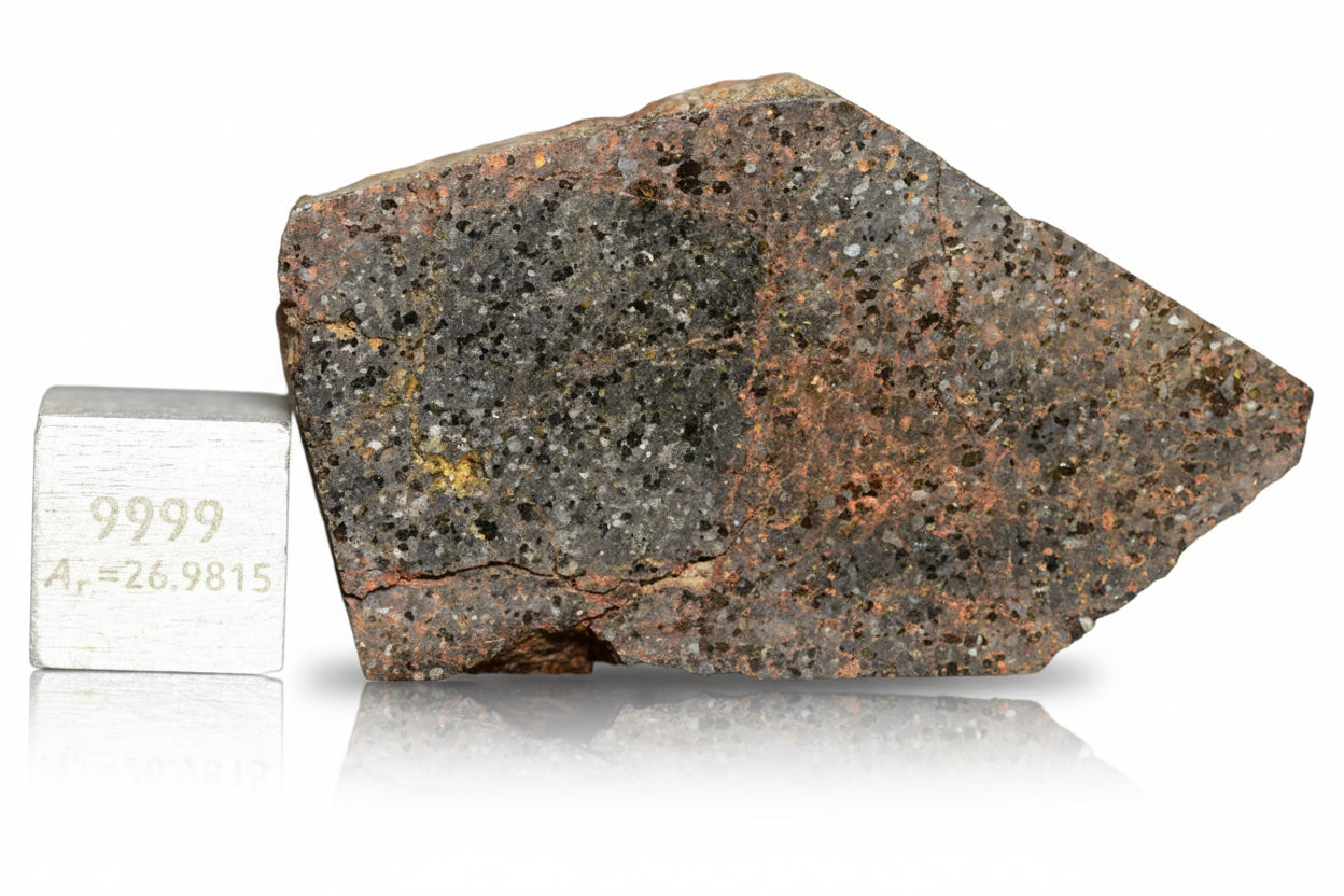 Brachinite NWA 11756 meteorite slice showing gray mineral matrix and unique textures, weighing 8.34 grams.