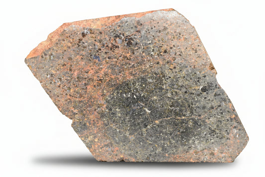 Close-up of a Brachinite NWA 11756 meteorite slice showing mineral textures and metallic inclusions.