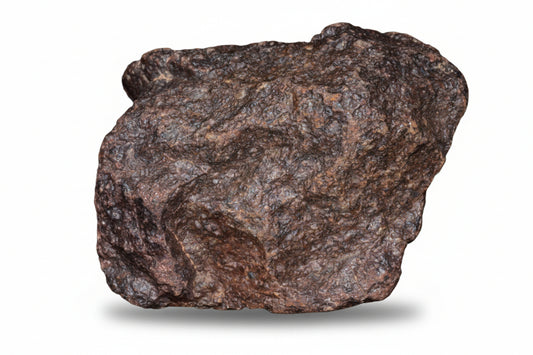 Authentic ordinary chondrite meteorite specimen NWA