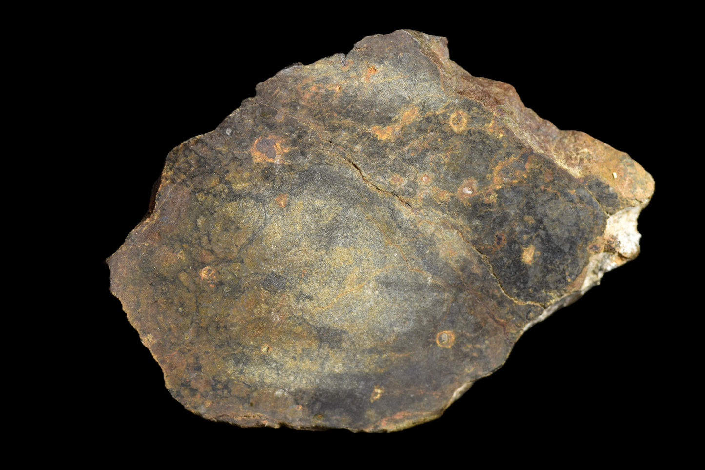 Slice of NWA 13272 ungrouped achondrite meteorite weighing 6.03 grams, featuring a dark, textured surface with mineral inclusions.