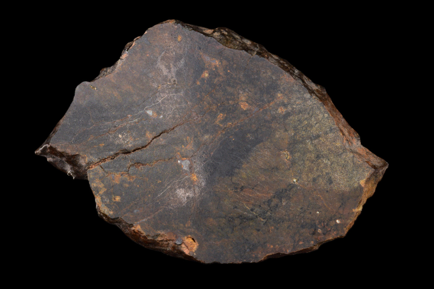 Close-up of a NWA 13272 ungrouped achondrite meteorite slice showing its textured, dark surface and mineral details.
