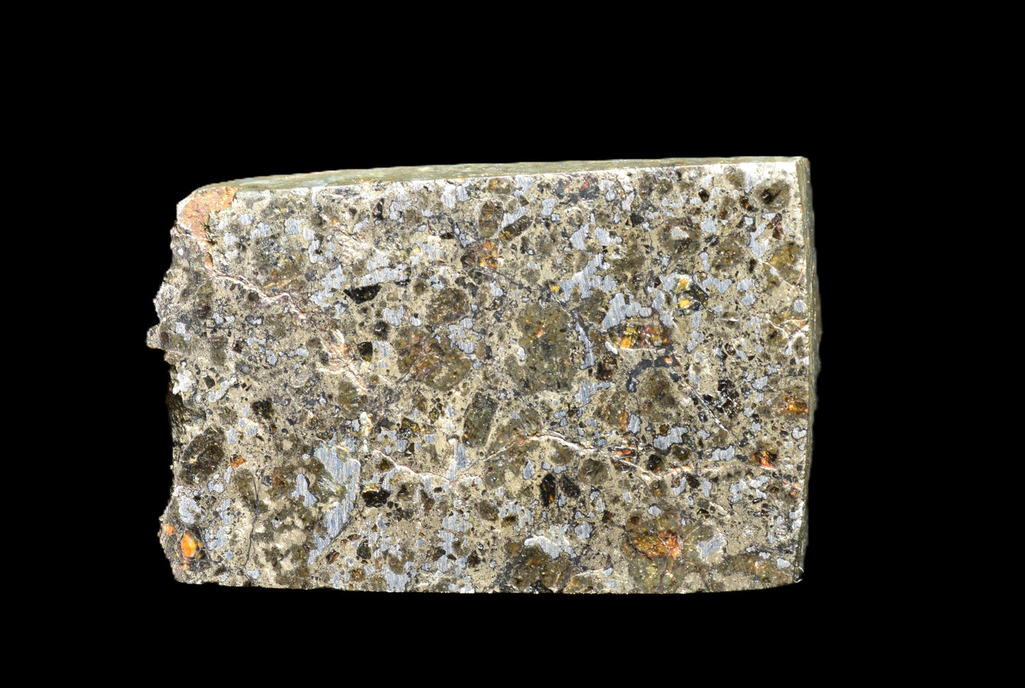 Talsint mesosiderite meteorite slice 1.99 g showing brecciated silicate and iron nickel metal matrix