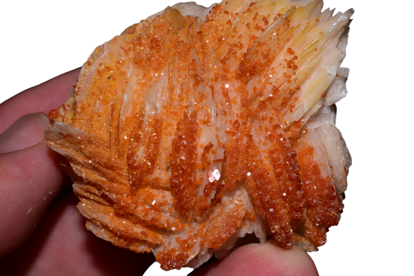 Orange vanadinite crystal cluster on barite – side angle view showing depth