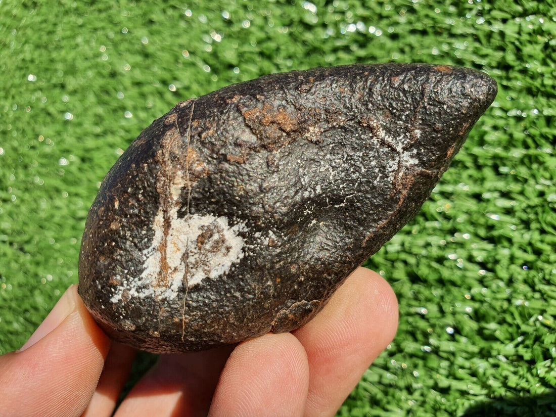 Chondrite Meteorite Oriented Shape 
