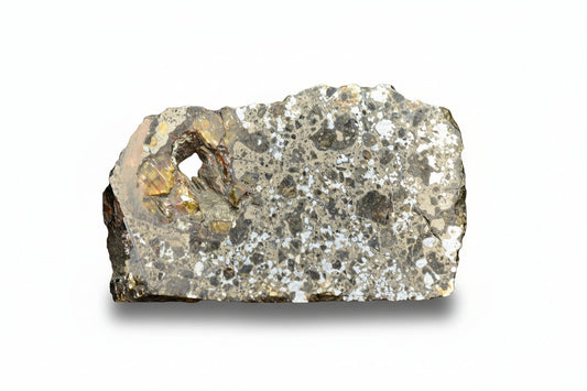 mesosiderite meteorite slice showing silicate and iron nickel metal matrix