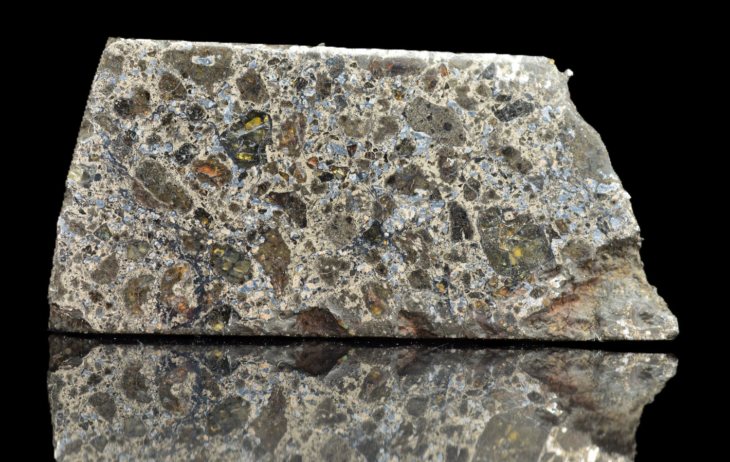 mesosiderite meteorite slices showing brecciated silicate and iron nickel metal