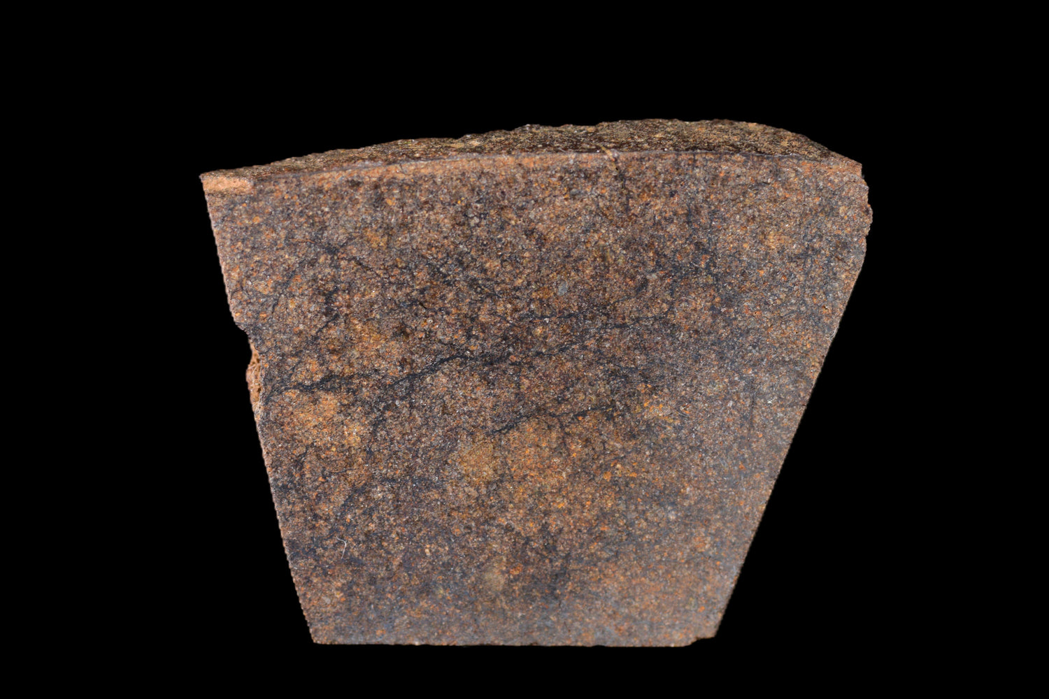 EL Chondrites