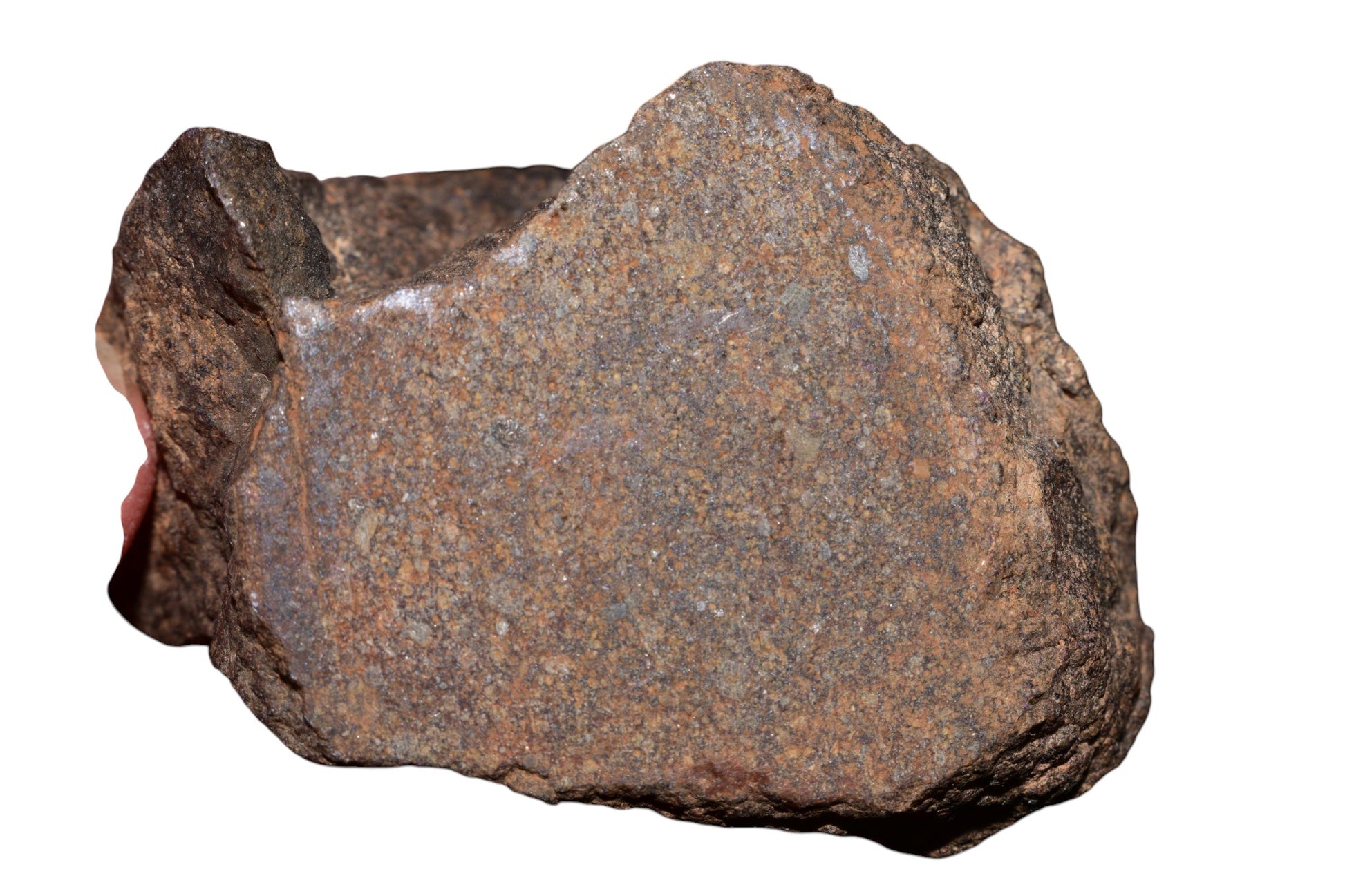 108g NWA chondrite meteorite endcut held in hand showing side profile and rugged natural crust texture – Buy Meteorite
