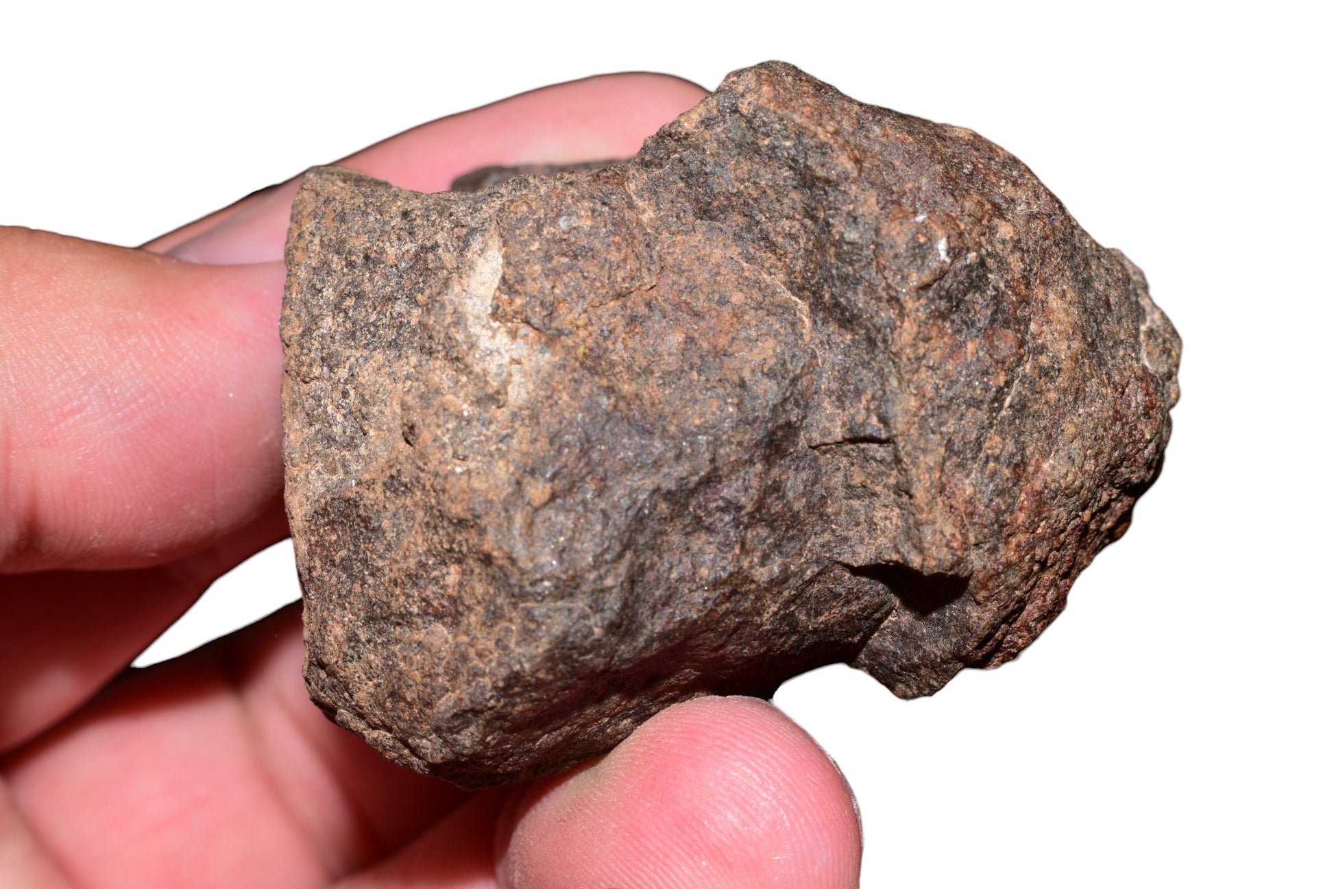 108g NWA unclassified chondrite meteorite windowed endcut isolated on white background showing full fusion crust – Buy Meteorite