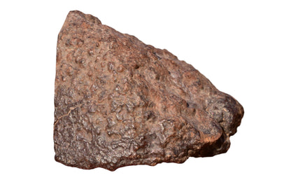 NWA 15408 LL7 chondrite meteorite held in hand for scale – 223g rare ordinary chondrite for sale, 67x55x43mm