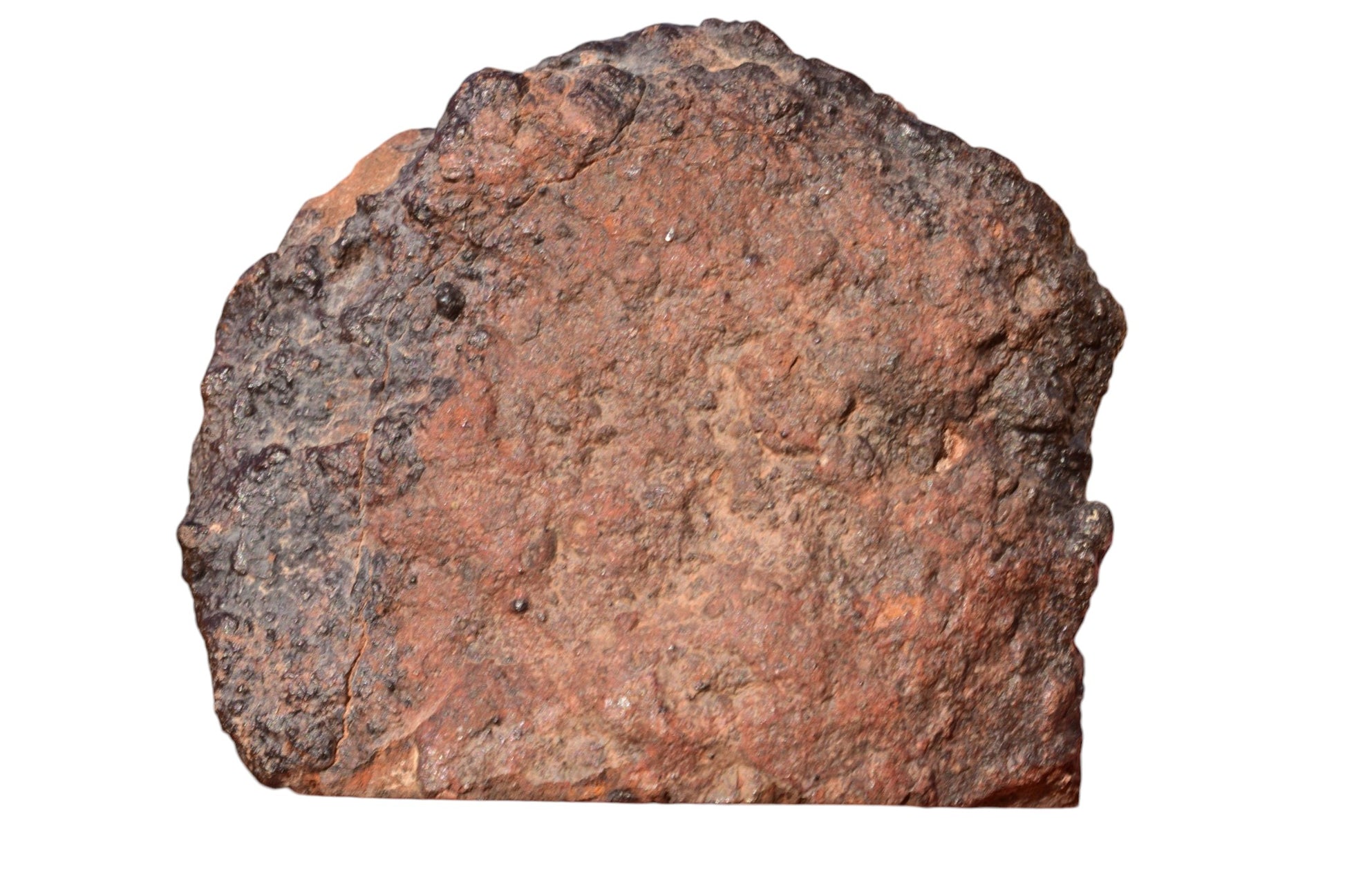 NWA 15408 LL7 chondrite meteorite main mass 223g – top face showing recrystallized breccia texture and brownish matrix