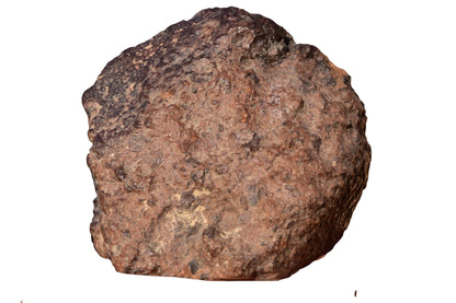 NWA 15408 LL7 meteorite main mass – front face with prominent fusion crust patches, MB 111 certified, Talsint Morocco