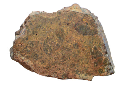 NWA 15408 LL7 meteorite – reverse face showing fusion crust coverage and breccia clasts, Northwest Africa find 2022