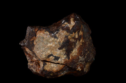 Agoudal IIAB Iron Meteorite for Sale