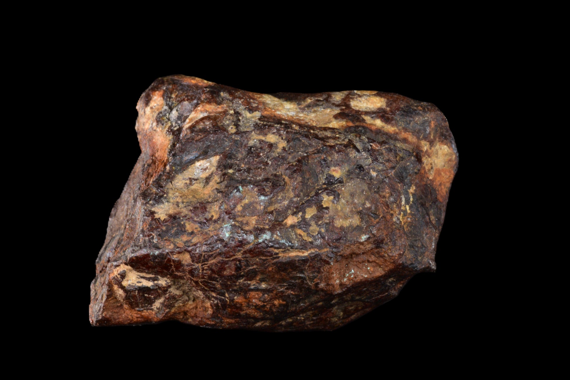 Agoudal IIAB Iron Meteorite for Sale