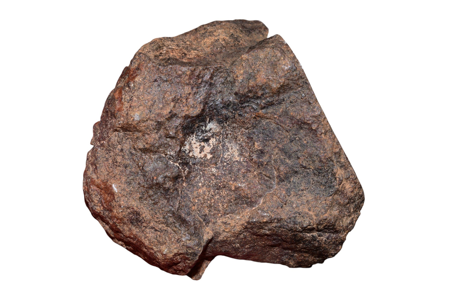 Authentic 108g NWA unclassified chondrite meteorite held in hand showing rugged natural exterior and windowed endcut face – Buy Meteorite