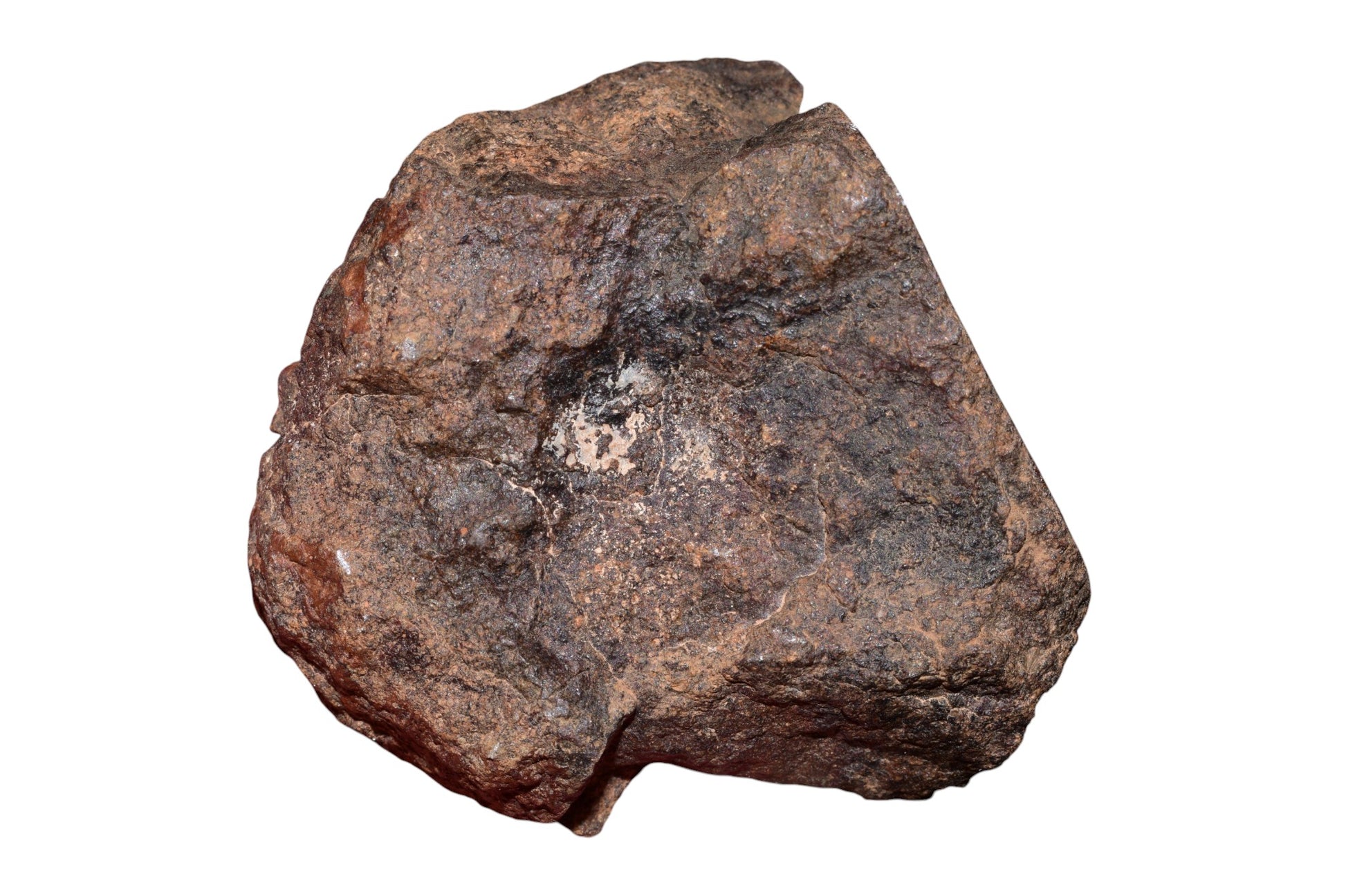 Authentic 108g NWA unclassified chondrite meteorite held in hand showing rugged natural exterior and windowed endcut face – Buy Meteorite