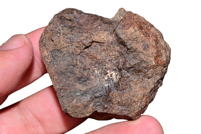 Authentic 108g NWA unclassified chondrite meteorite held in hand showing natural fusion crust exterior – Buy Meteorite