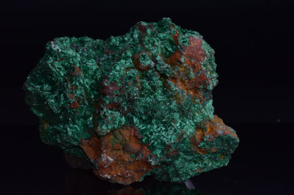 Azurite with Malachite – Mibladen, Morocco
