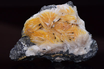 Cerussite crystal on barite mineral specimen from Mibladen district Morocco, showcasing translucent white and blue mineral formations.