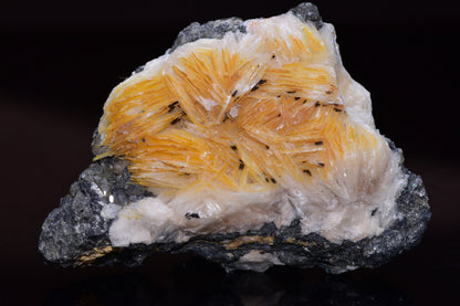 Cerussite crystal on barite mineral specimen from Mibladen district Morocco, showcasing clear and white mineral formations.