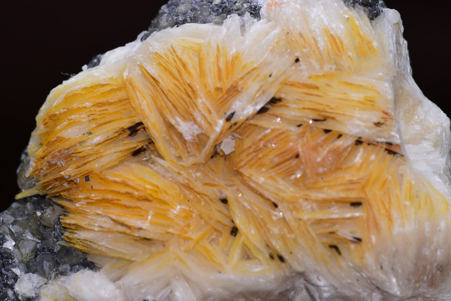 Crystalline cerussite on barite mineral specimen from Mibladen district, Morocco, showcasing white and beige crystal formations.