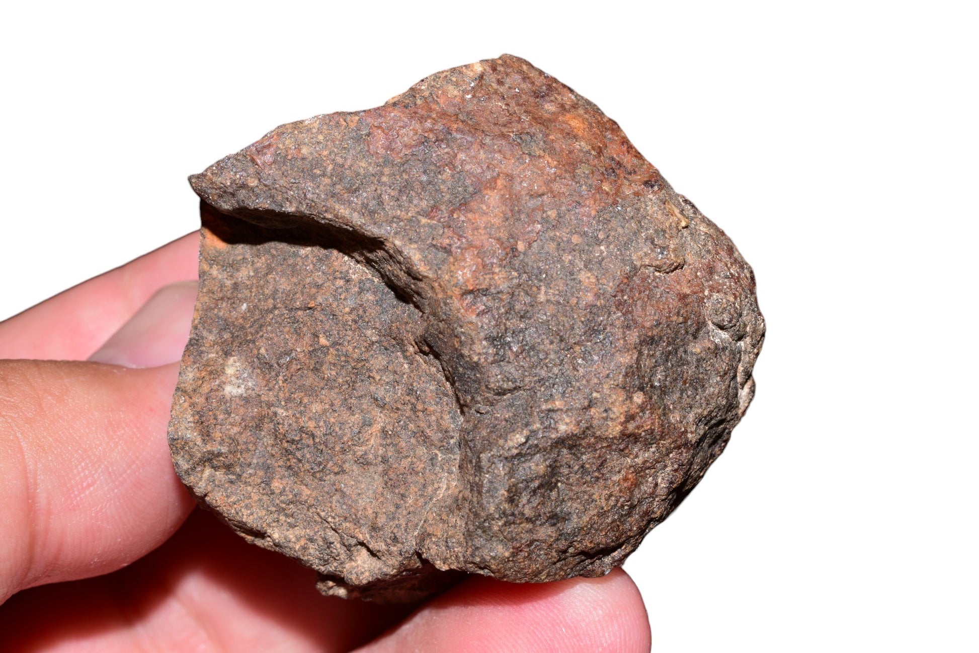 Close-up of 108g NWA chondrite meteorite windowed face held in hand revealing fine-grained chondrule texture – Buy Meteorite